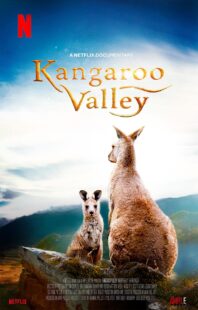 دانلود فیلم Kangaroo Valley 2022322977-279252426