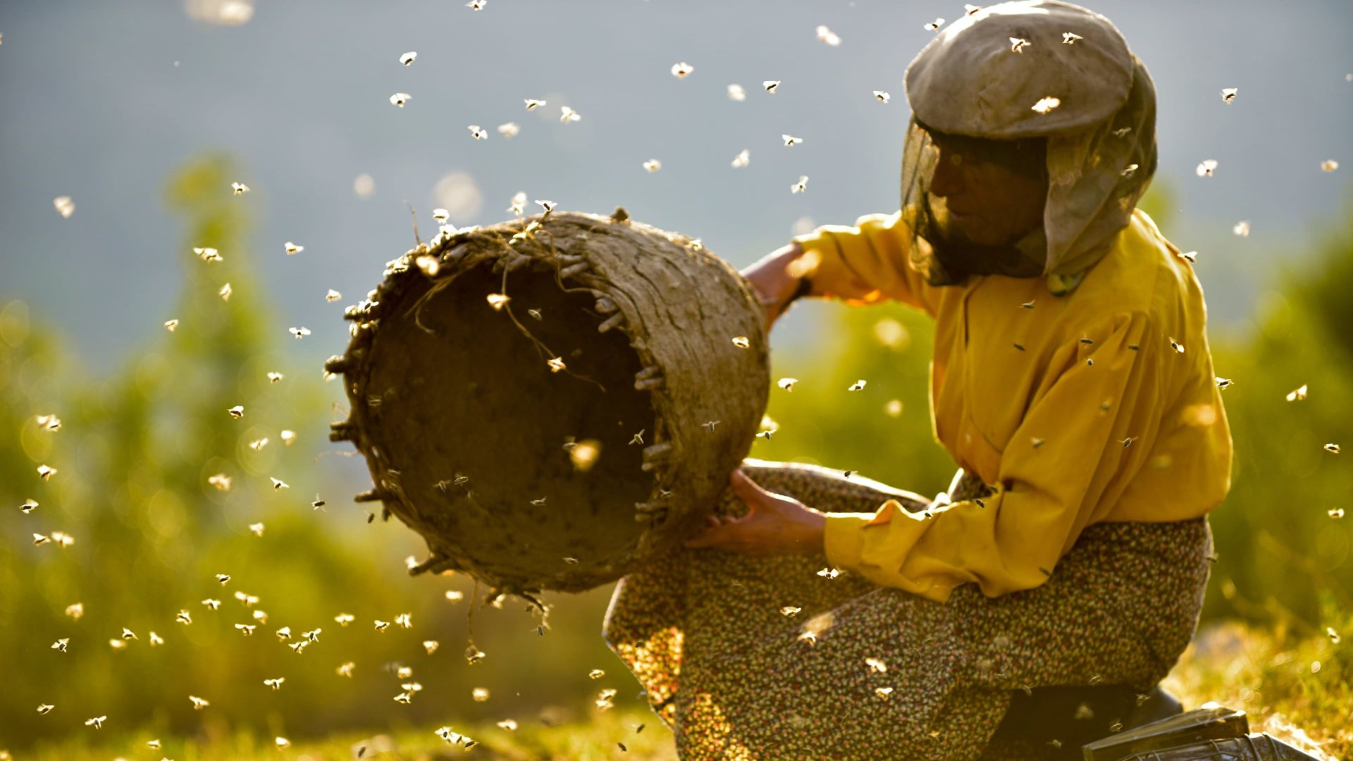 دانلود مستند Honeyland 2019