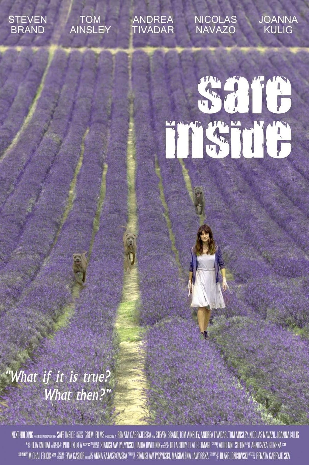 دانلود فیلم Safe Inside 2019