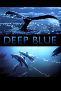 دانلود فیلم Deep Blue 2003333037-2009132389