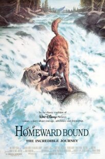 دانلود فیلم Homeward Bound: The Incredible Journey 1993371118-802732273