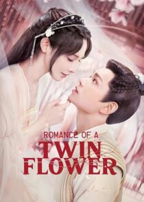 دانلود سریال Romance of a Twin Flower379211-84811924