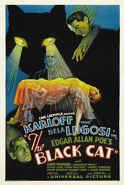 دانلود فیلم The Black Cat 1934