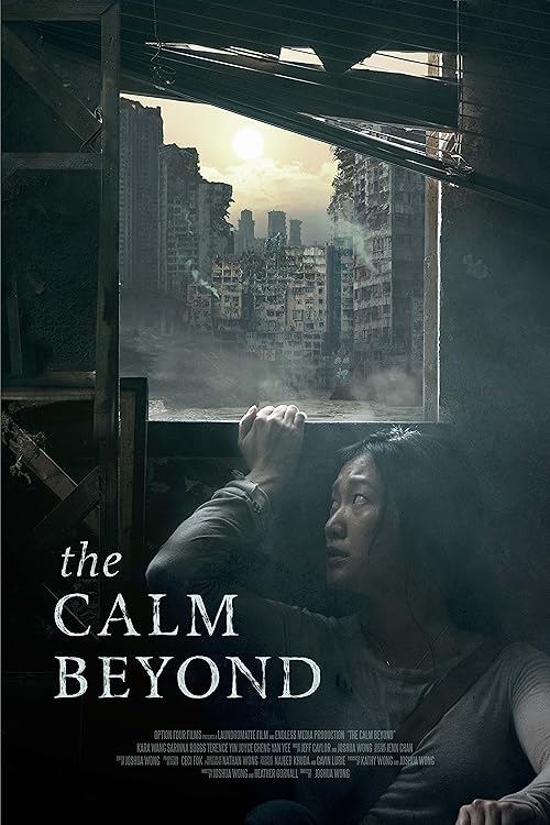 دانلود فیلم The Calm Beyond 2020