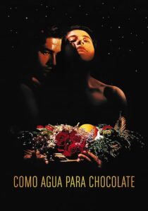 دانلود فیلم Like Water for Chocolate 1992387861-1601627815