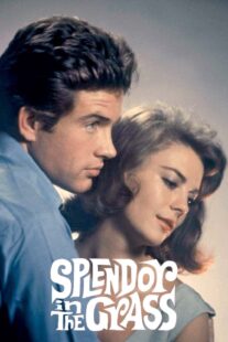 دانلود فیلم Splendor in the Grass 1961382554-1528622971