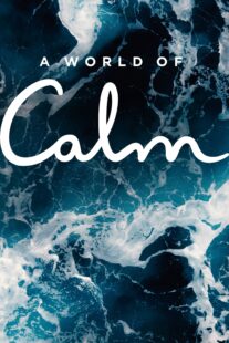 دانلود مستند A World of Calm383203-1594484499