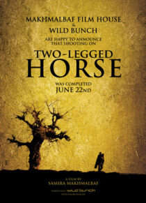 دانلود فیلم Two-Legged Horse 2008386427-1008318533