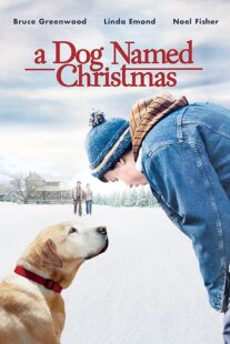 دانلود فیلم A Dog Named Christmas 2009389298-1950573511