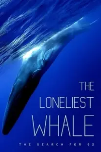 دانلود فیلم The Loneliest Whale: The Search for 52 2021403098-1957867375