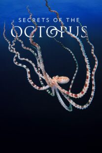 دانلود سریال Secrets of the Octopus401286-1816696733