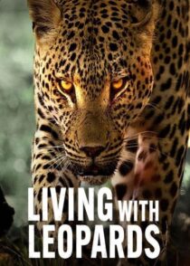 دانلود مستند Living with Leopards 2024400477-2127674171