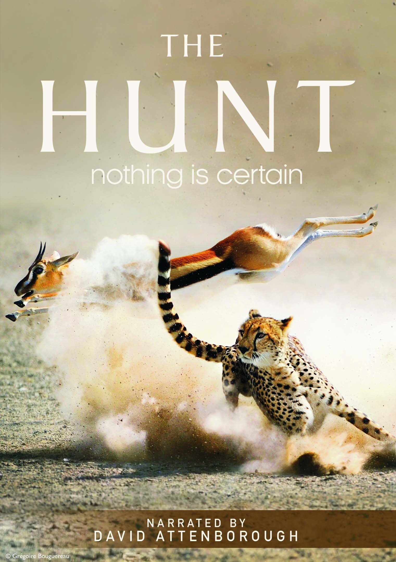 دانلود سریال The Hunt