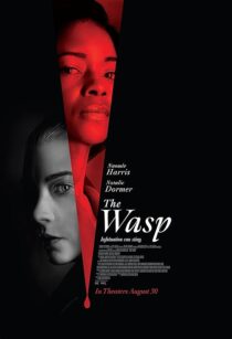 دانلود فیلم The Wasp 2024411027-1890586837