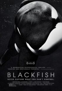 دانلود فیلم Blackfish 2013412328-1726178371