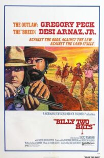 دانلود فیلم Billy Two Hats 1974411057-686305348